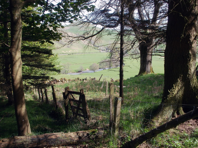 Lovely view from village walks